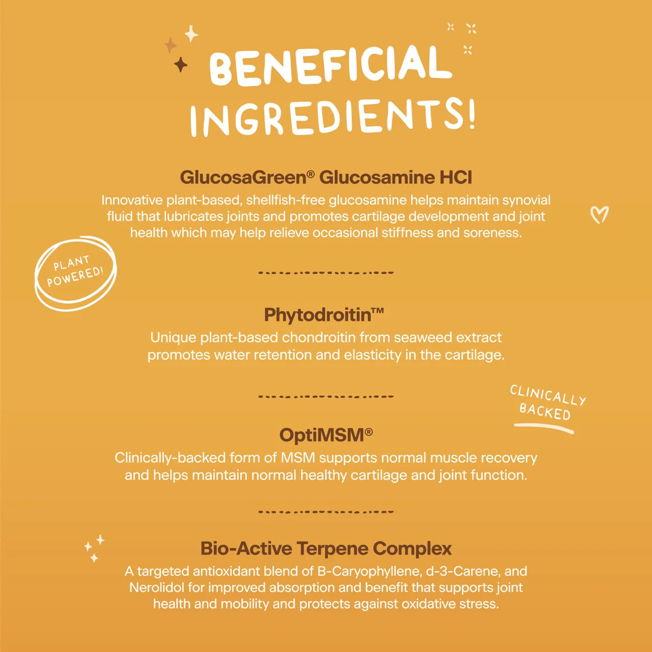 PROSPECT PET WELLNESS DOG PREMIUM LIQUID BOOST GLUCOSAMINE 16OZ