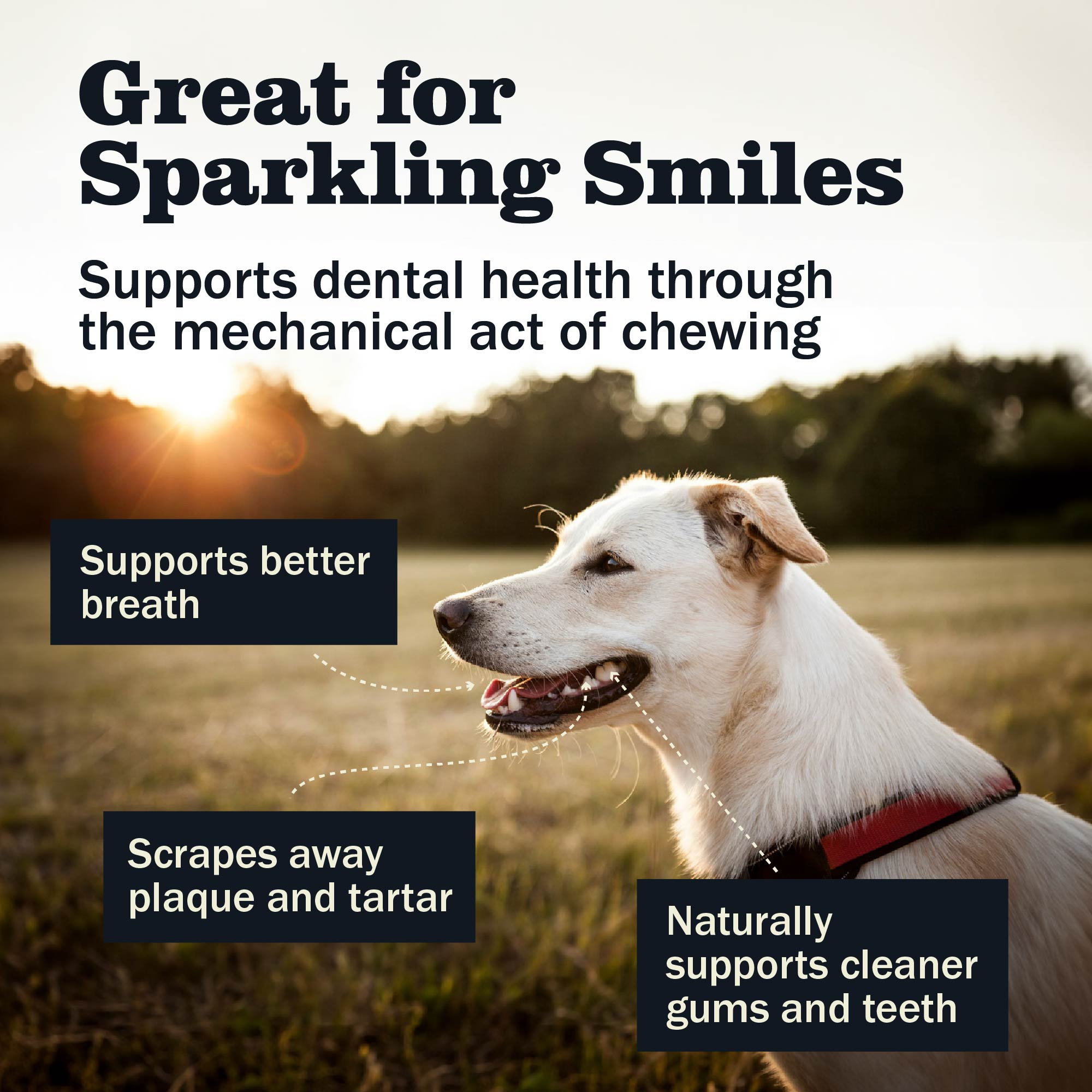 Redbarn dog Bully Rings