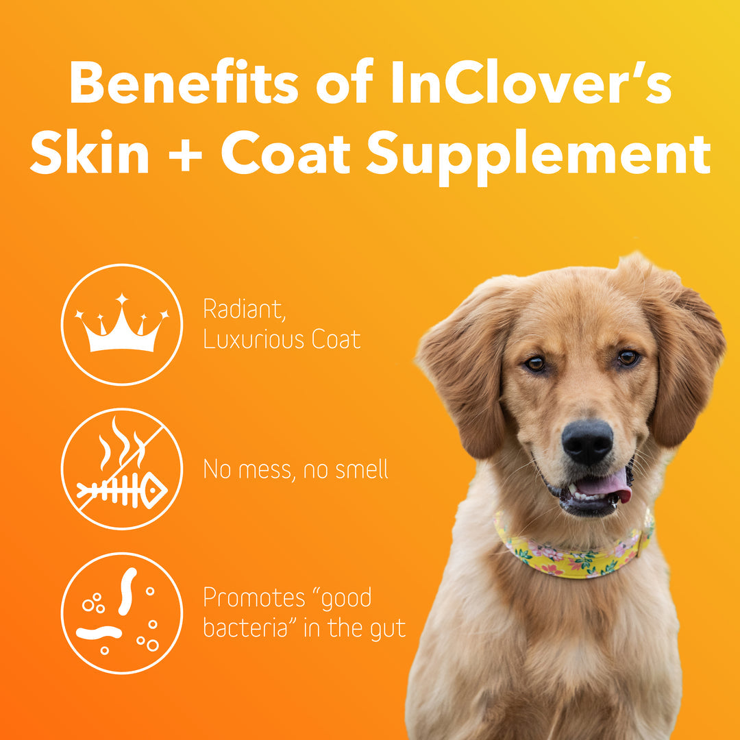 InClover Dog Cat BioRadiant Skin & Coat 100 Grams
