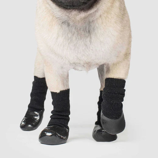 Canada Pooch Slouchy Socks Black