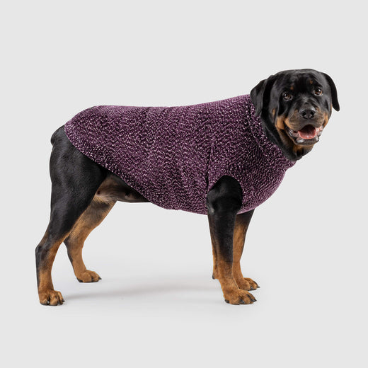 Canada Pooch Soho Sweater Magenta