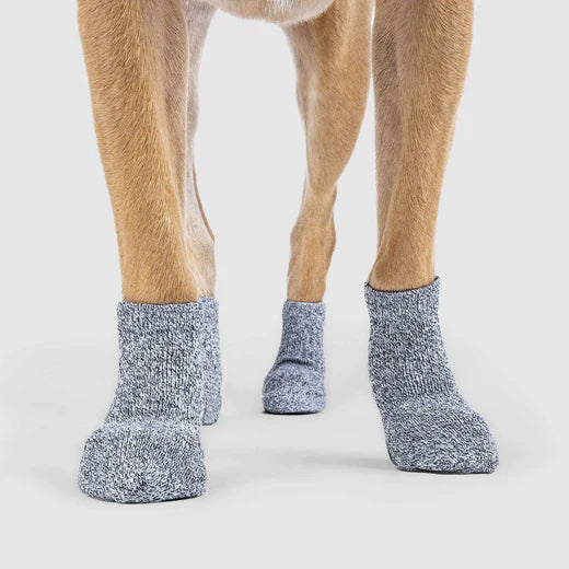 Canada Pooch Basic Sock Grey