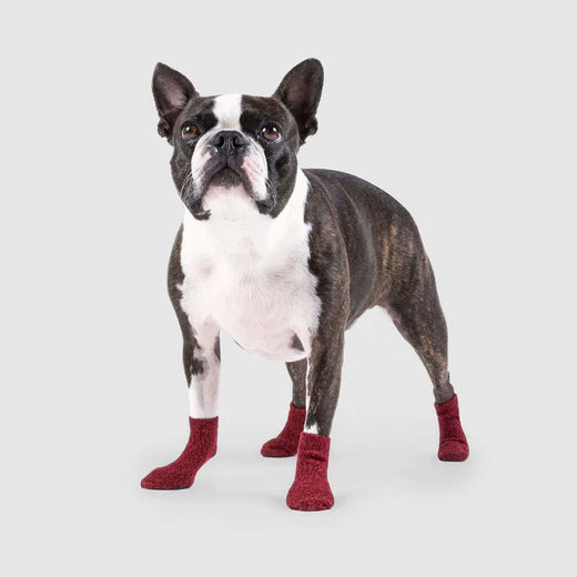Canada Pooch Basic Socks Red