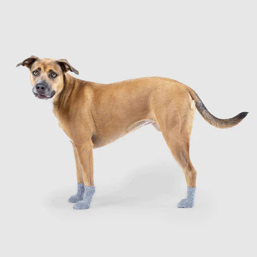 Canada Pooch Basic Sock Grey