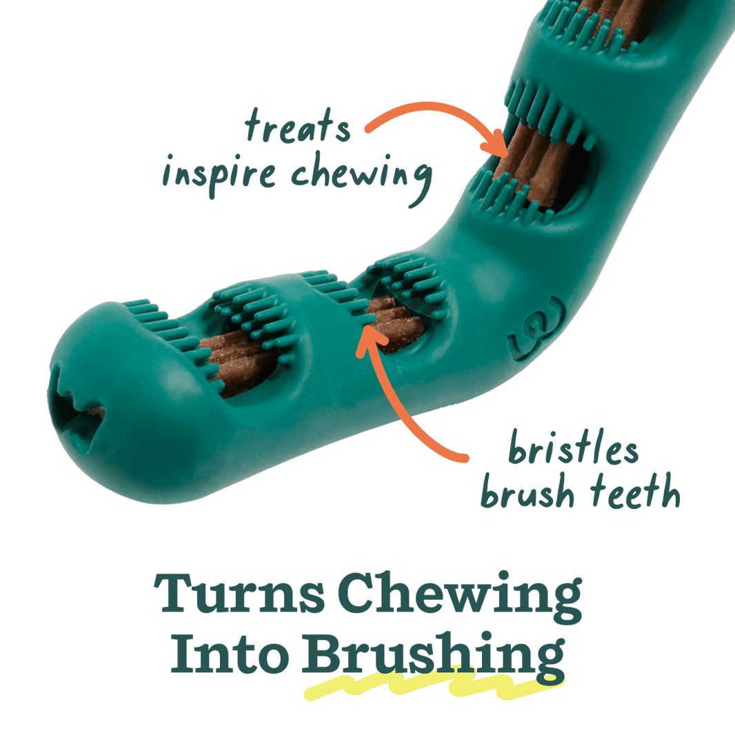 Woof Bite N Brush Large