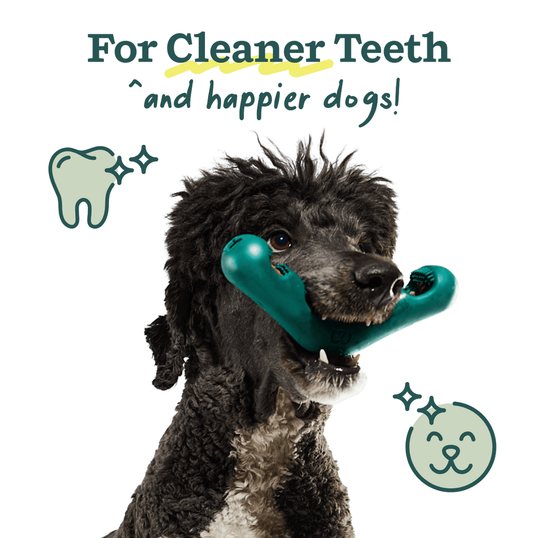 Woof Bite N Brush Large