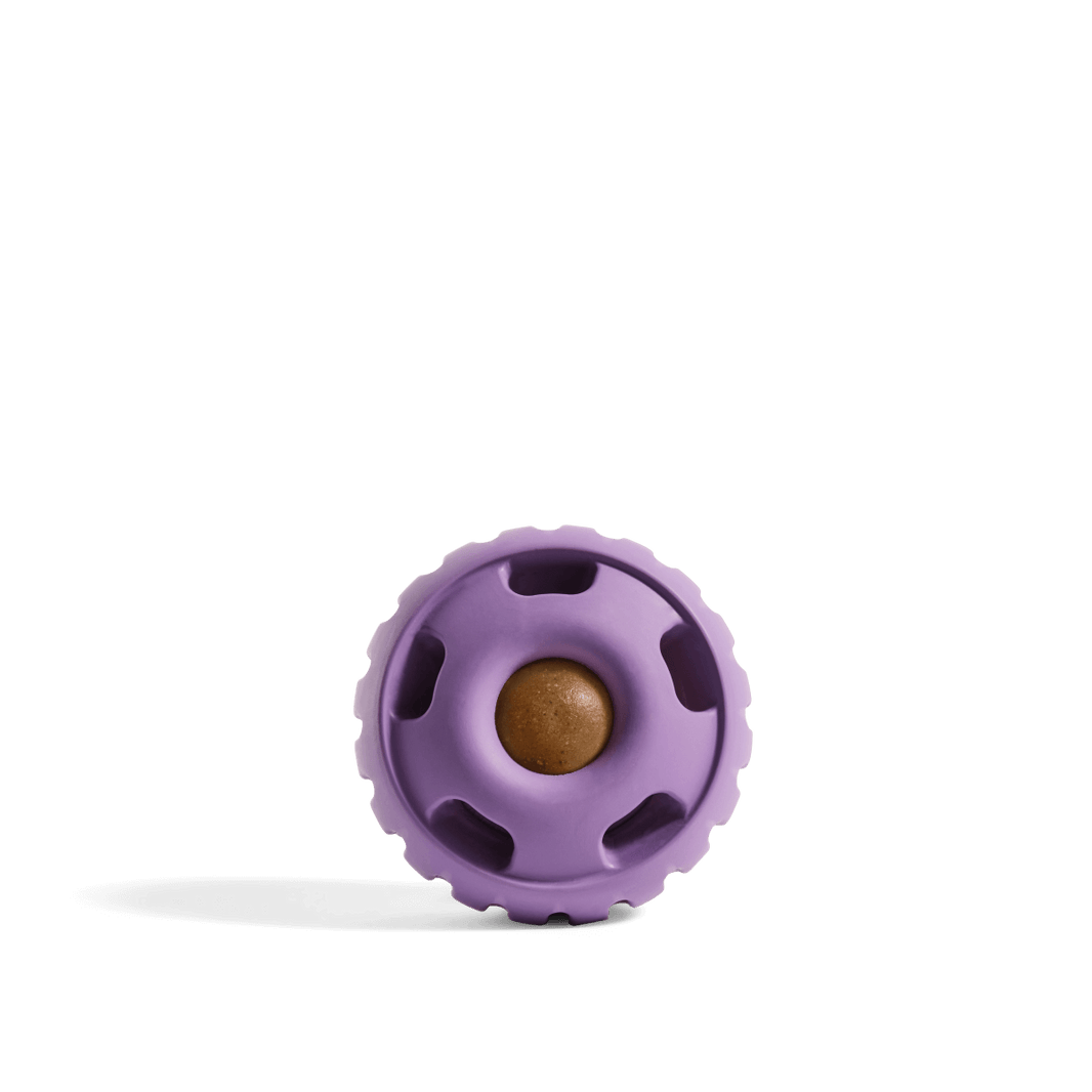 Woof Pupsicle Long Lasting Refillable Dog Treat Dispenser Purple