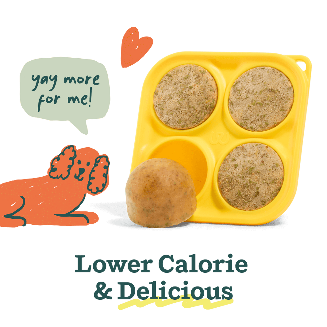 Woof Dog Pupsicle Bacon Mix 5.5oz