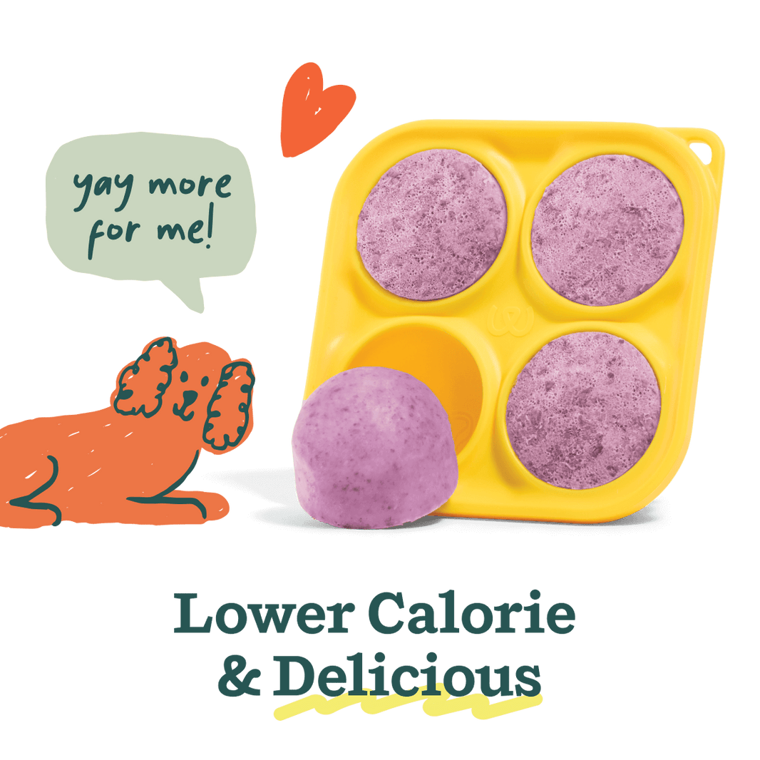 Woof Dog Pupsicle Calming Mix 5.5oz