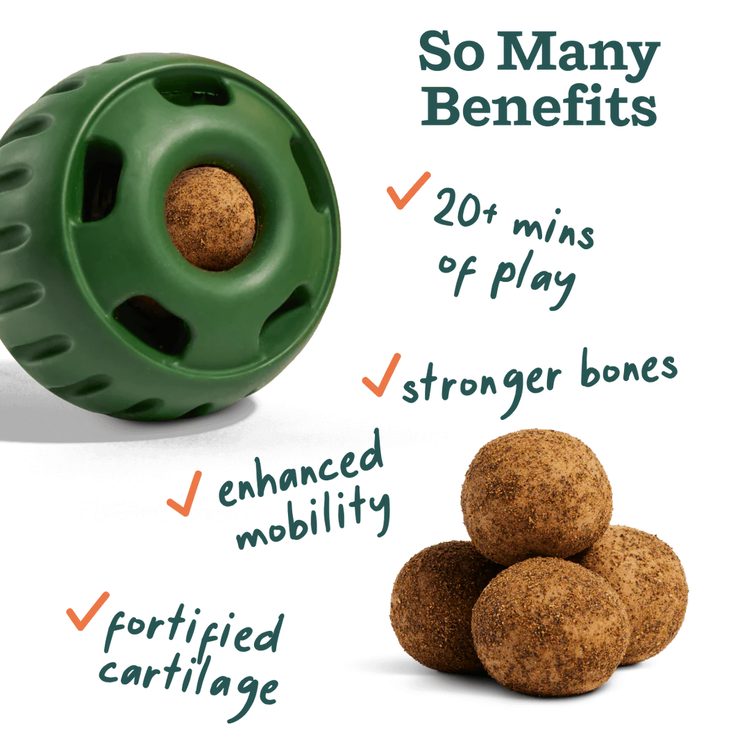 Woof Joint Health Pupsicle Refills SM