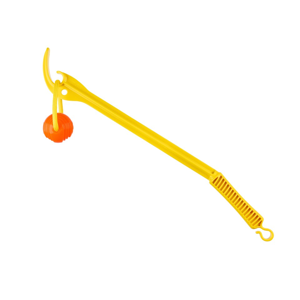 Project Hive Zoomer Dog Toy Launcher & Looped Ball