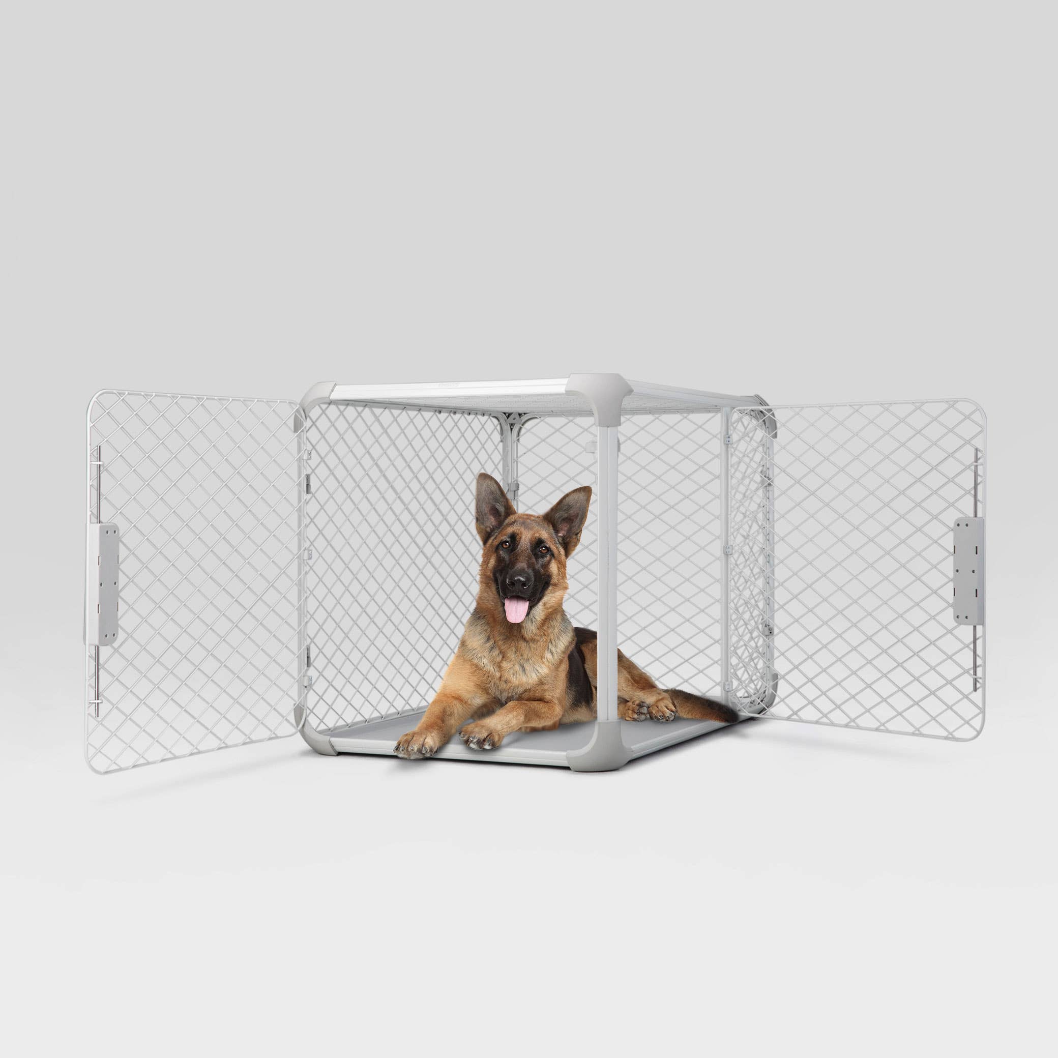 Diggs Evolv Dog Crate- Ash
