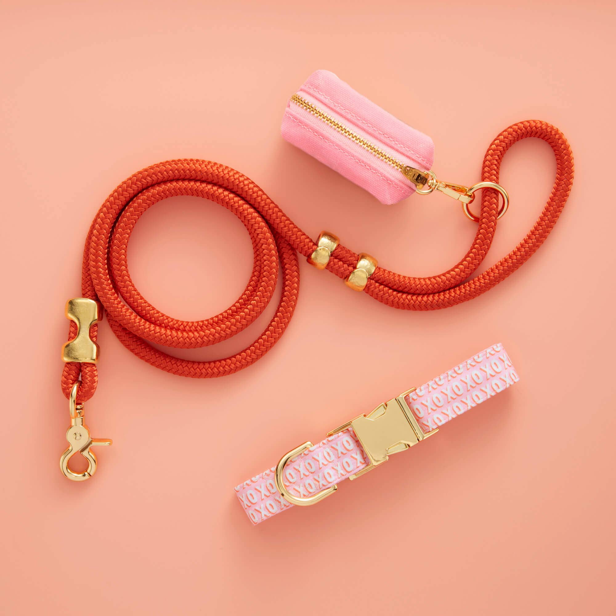 The Foggy Dog Cider Marine Rope Dog Leash