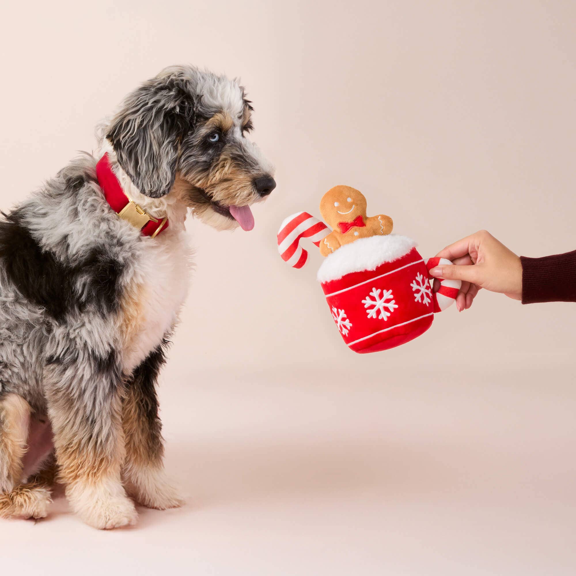 The Foggy Dog Hot Cocoa Interactive Snuffle Dog Toy