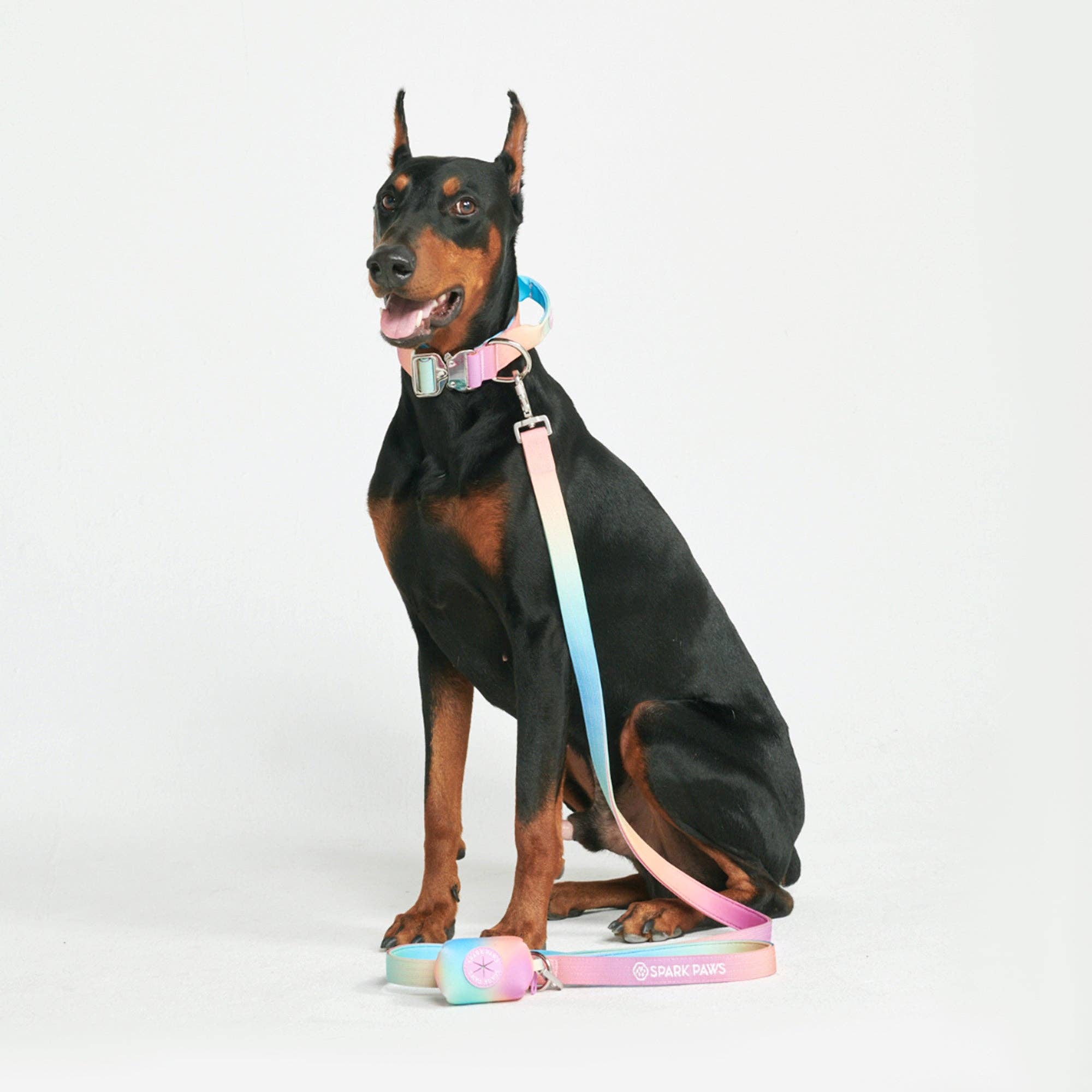 SparkPaws Comfort Control Dog Leash - Pastel Icing