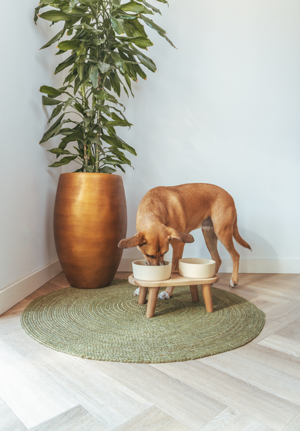 Wooden Tray for drink and food bowl size L