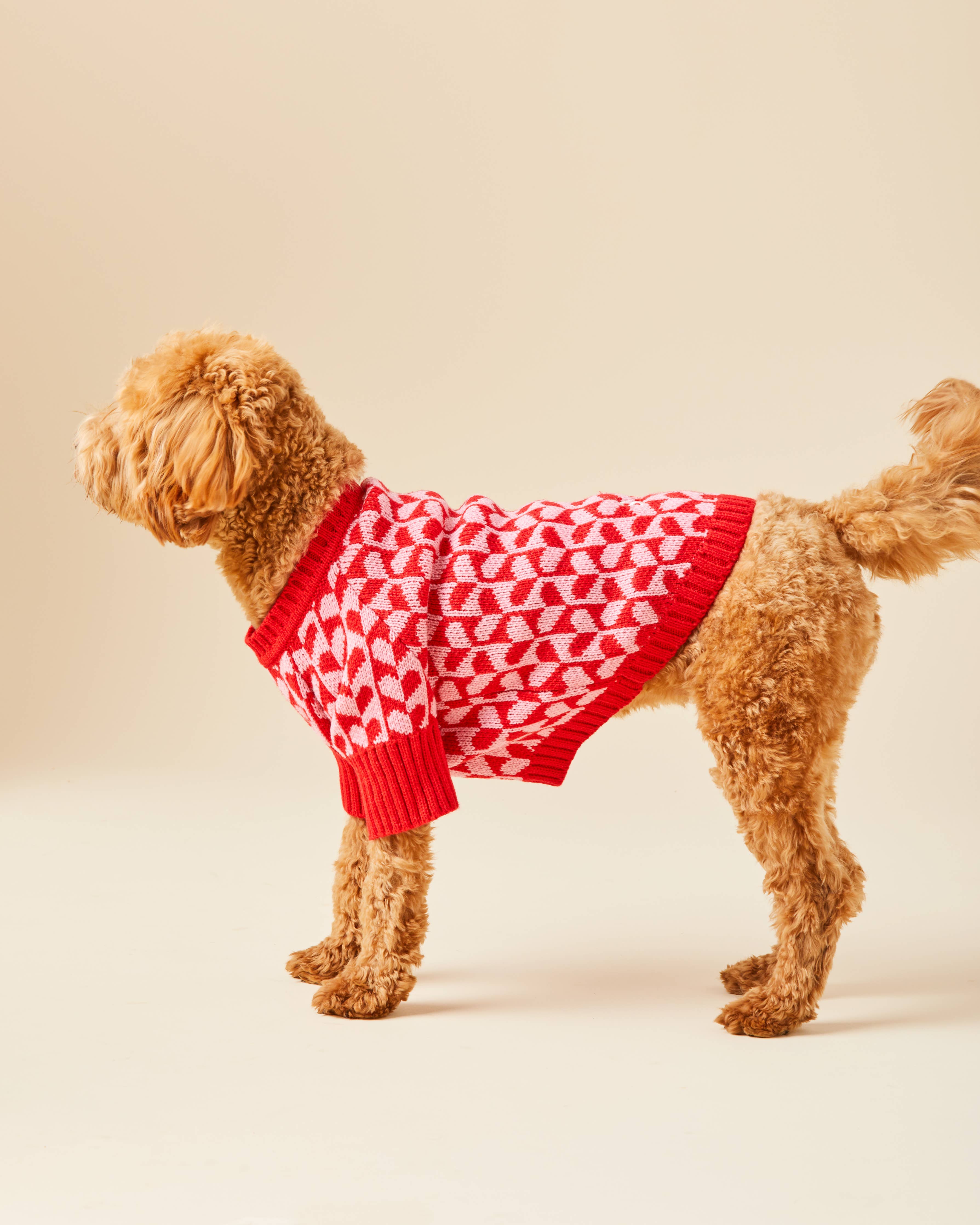 Heart Stripe Valentine's Day Dog Sweater