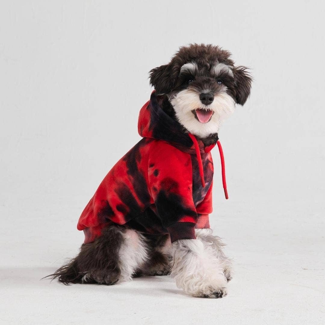 Sparkpaws Red & Black Velvet Dog Hoodie