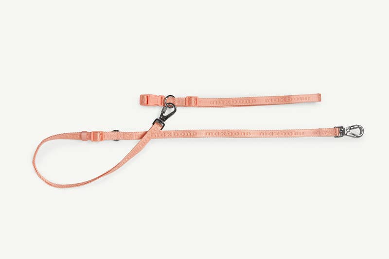 Maxbone Go With Ease! Hands Free Dog Leash