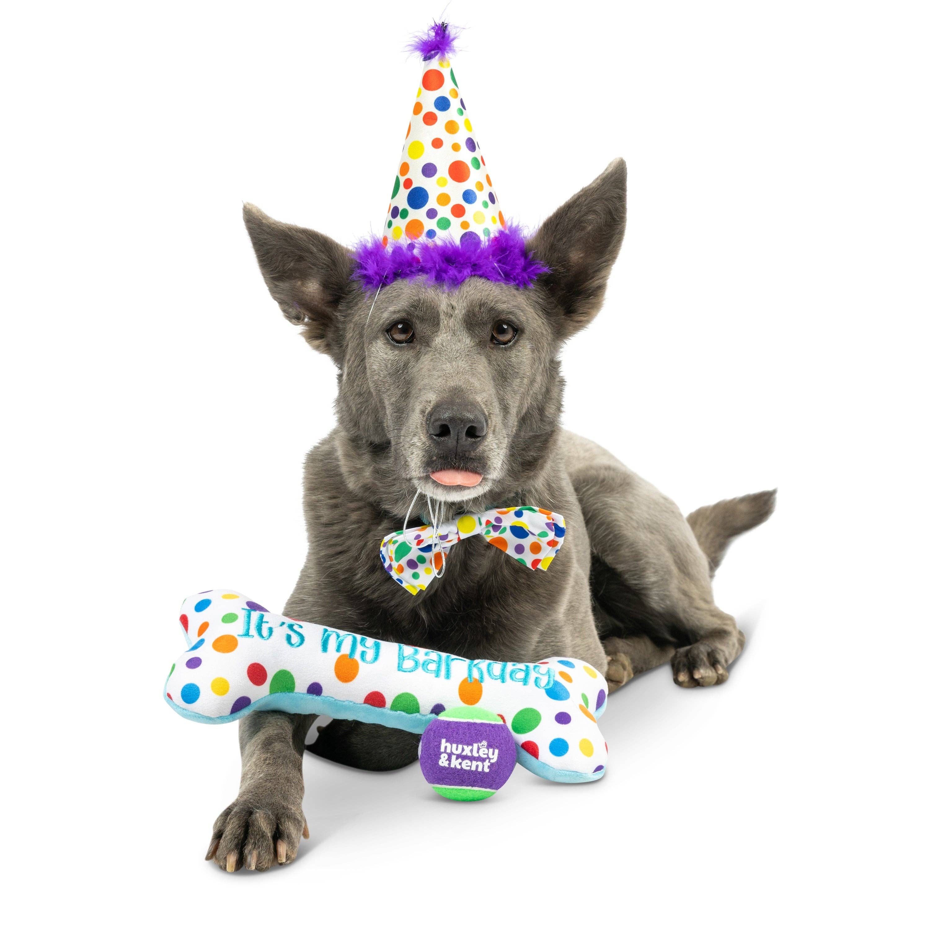 Happy Barkday Celebration Box