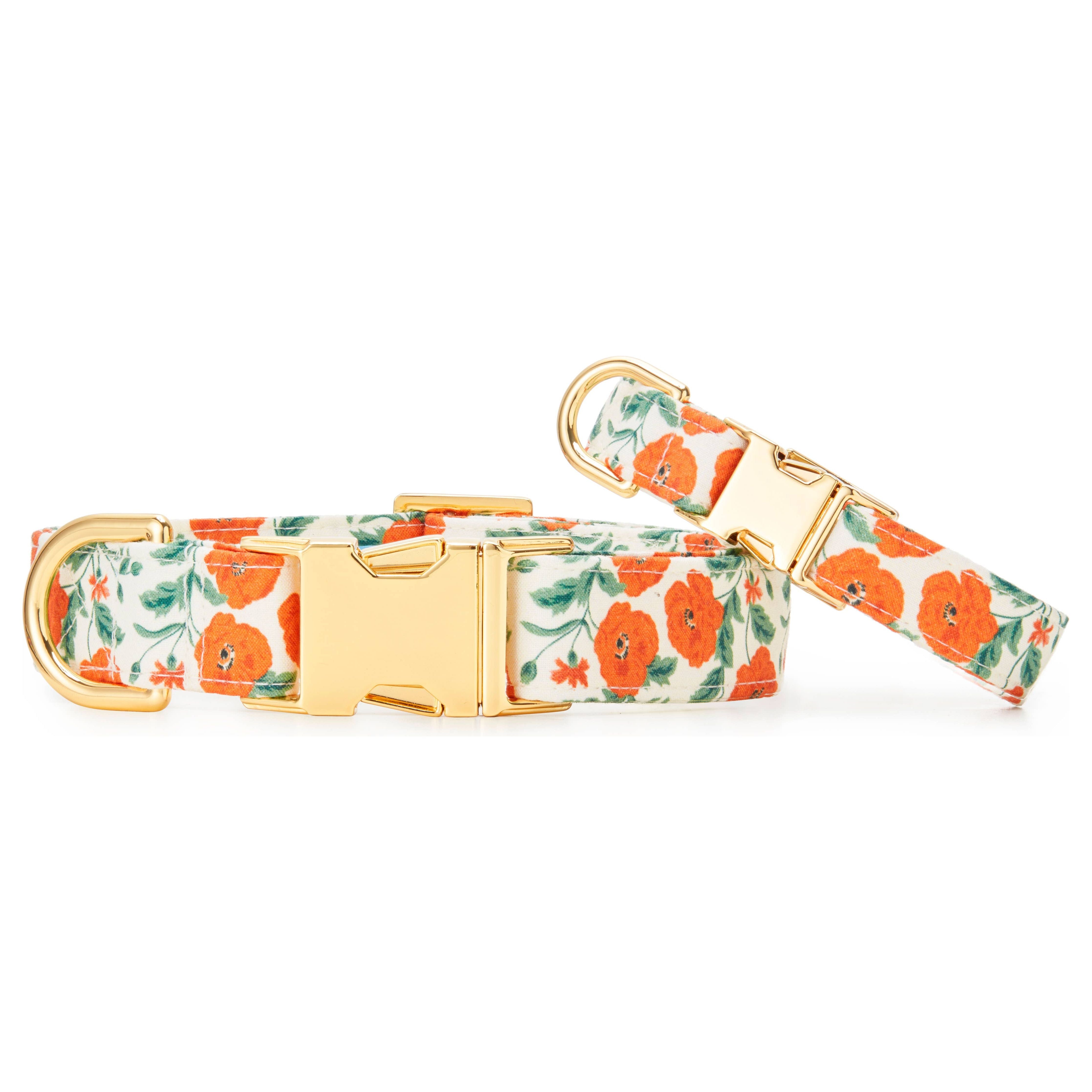 The Foggy Dog Poppies Dog Collar