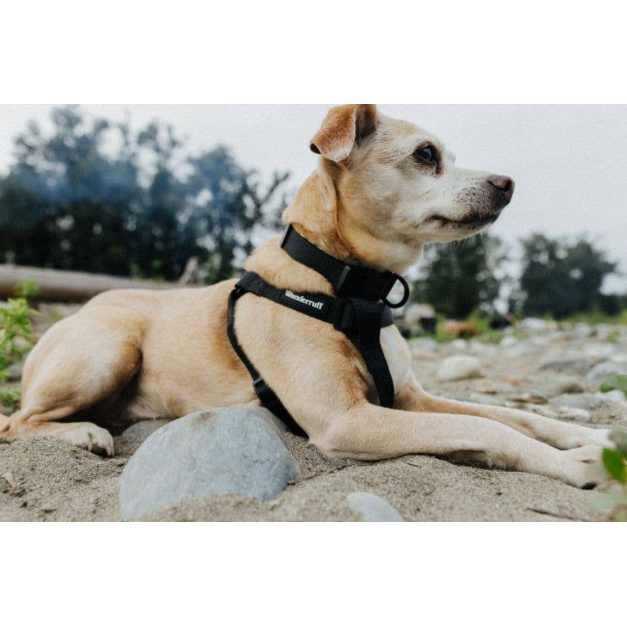 Wanderruff Samson Harness