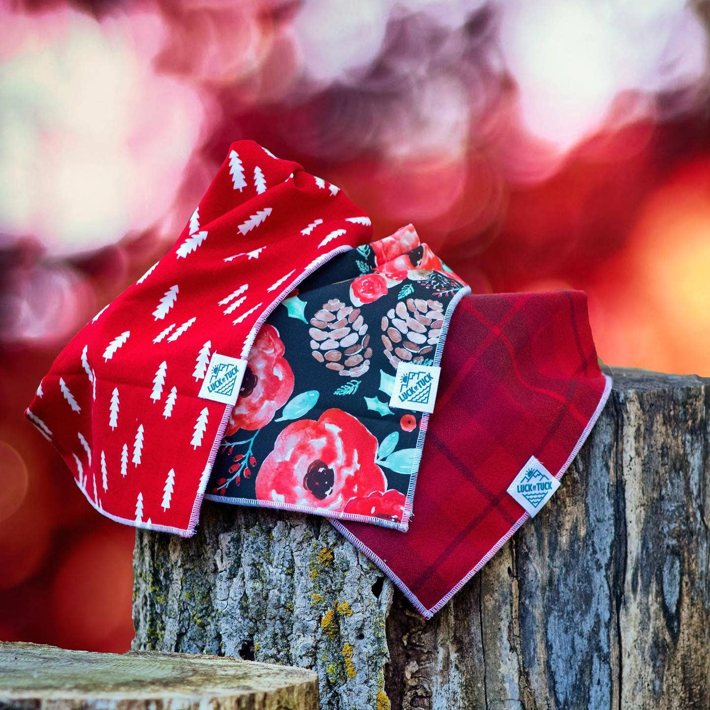 Luck of Tuck Tetra Dog Bandana