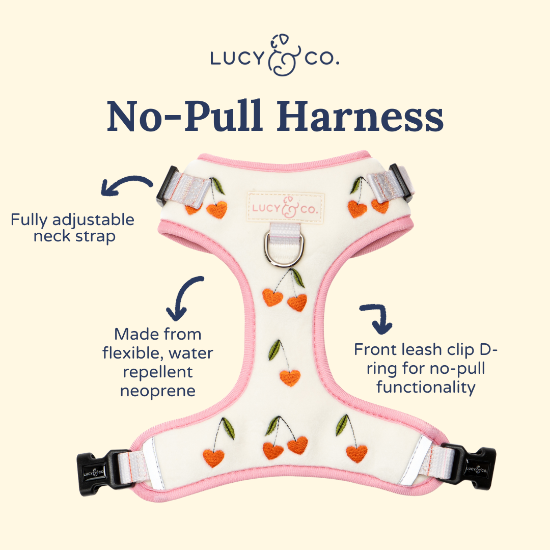 Lucy & Co. Cherry Cute Velour No-Pull Harness