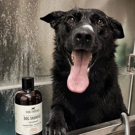 Fox+ Hound Dog Shampoo + Conditioner Argan & Amber