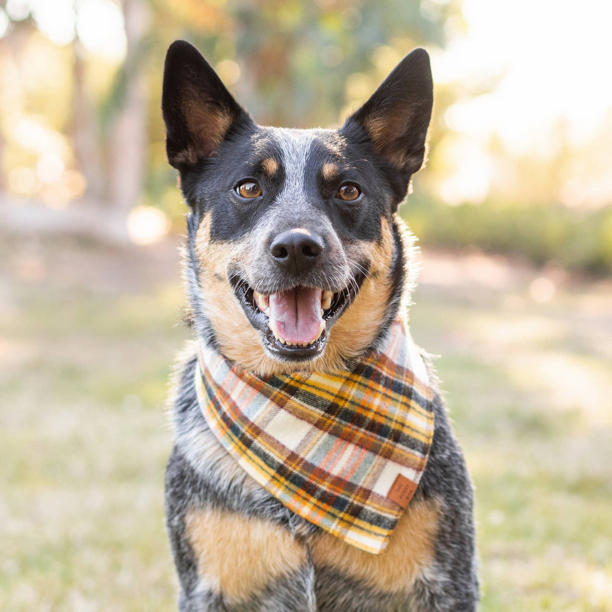 The Foggy Dog Cornucopia Flannel Fall Dog Bandana