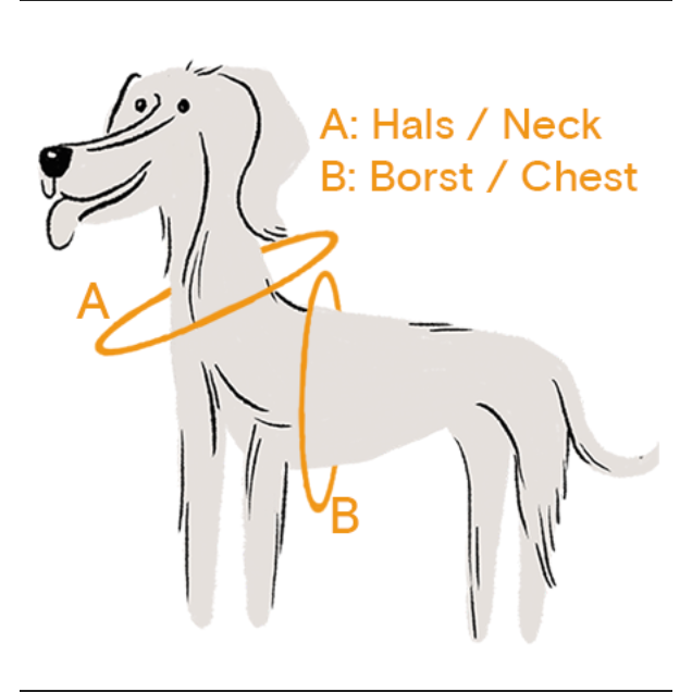 Gula Dog Harness - Black & Yellow