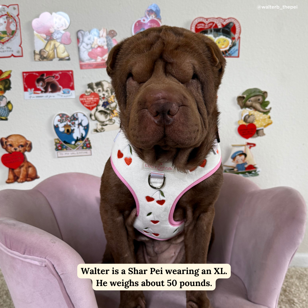 Lucy & Co. Cherry Cute Velour No-Pull Harness