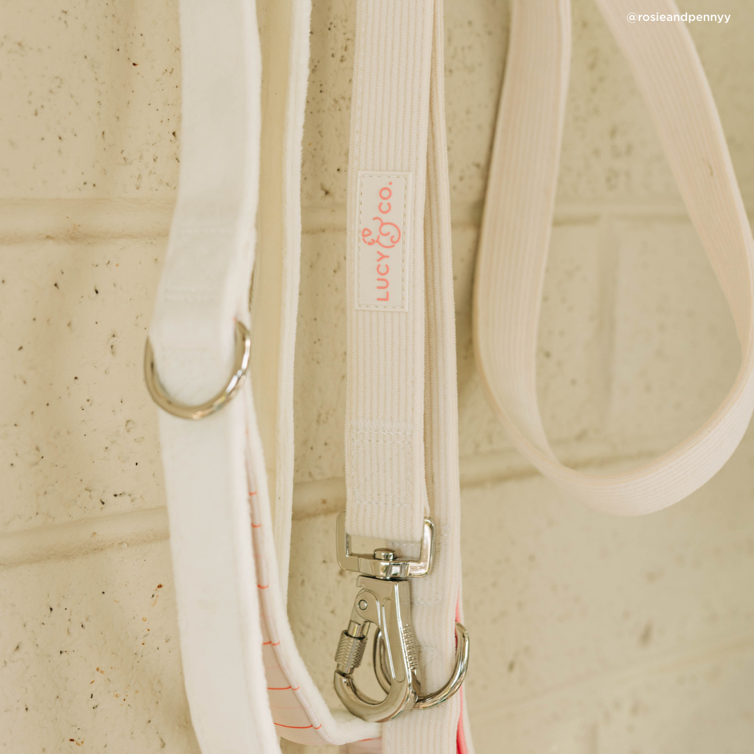 Lucy & Co. Ivory Corduroy Leash
