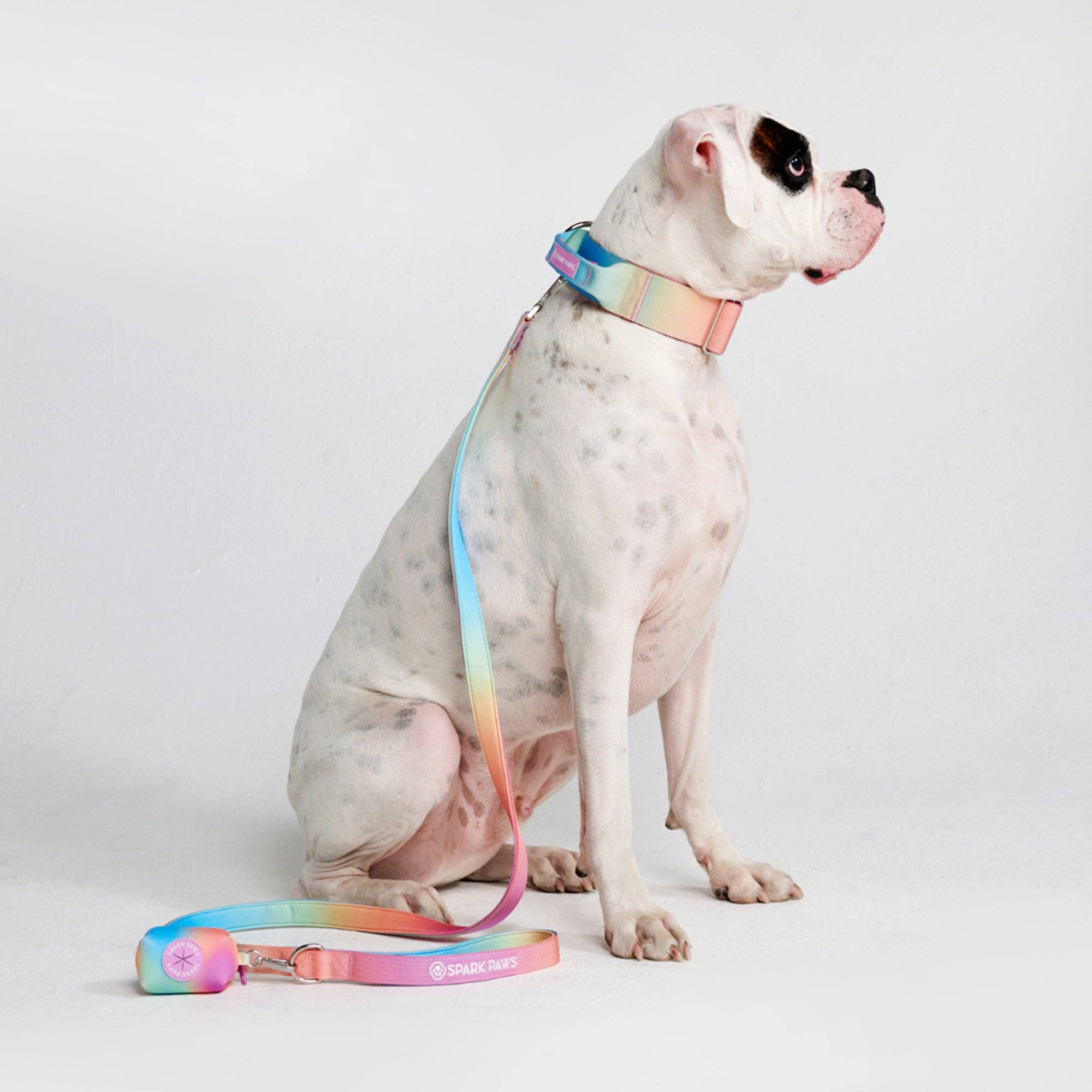 SparkPaws Comfort Control Dog Leash - Pastel Icing