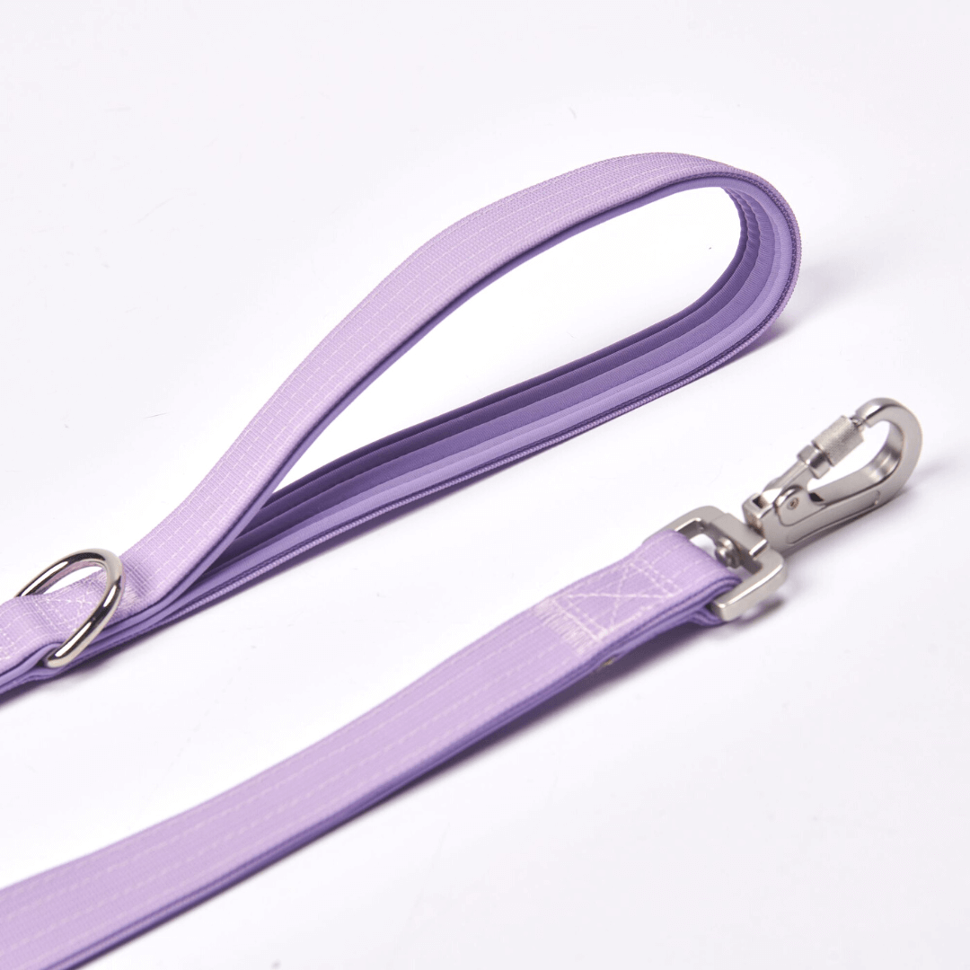 Spark Paws Leash and Poop Bag Holder Set - Lilac