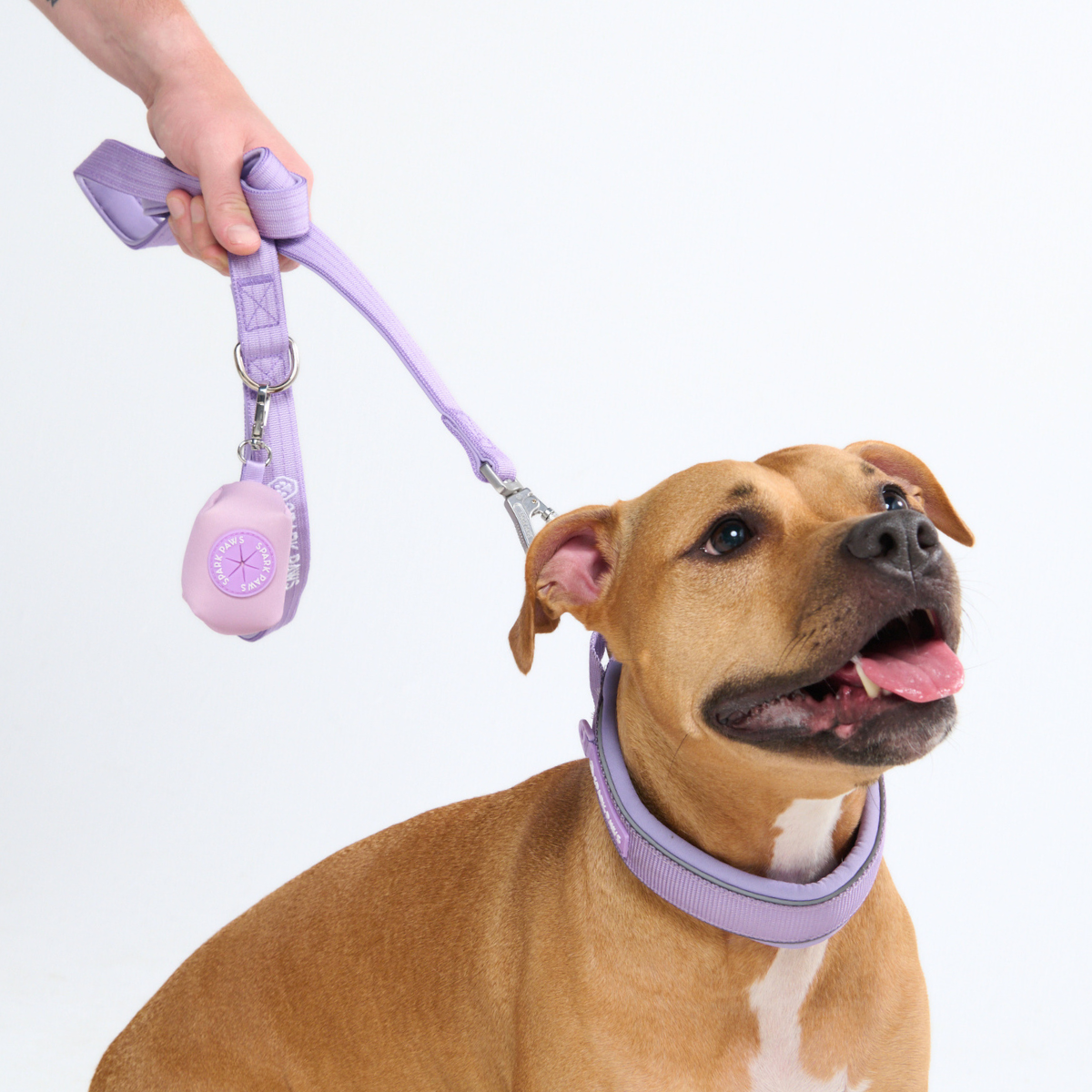 Spark Paws Martingale Collar - Lilac