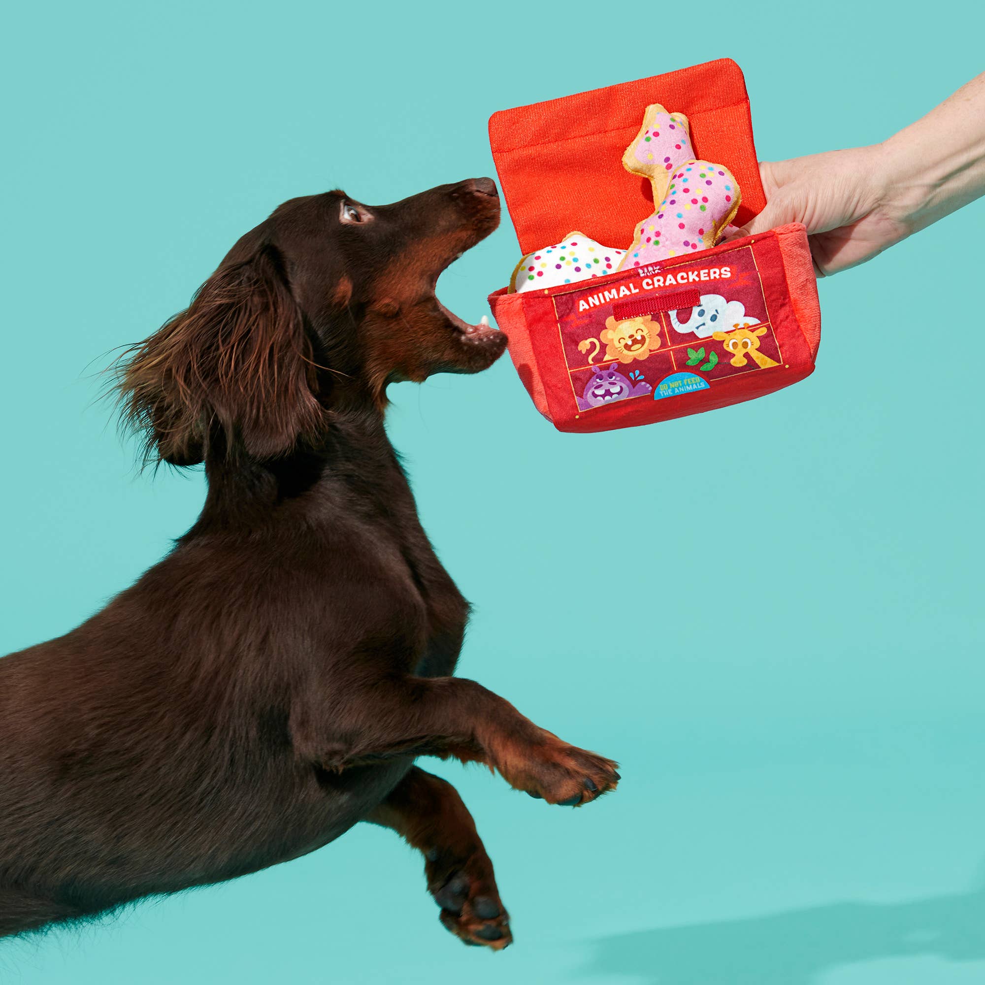 BARK Animal Crackers Toy XS/S