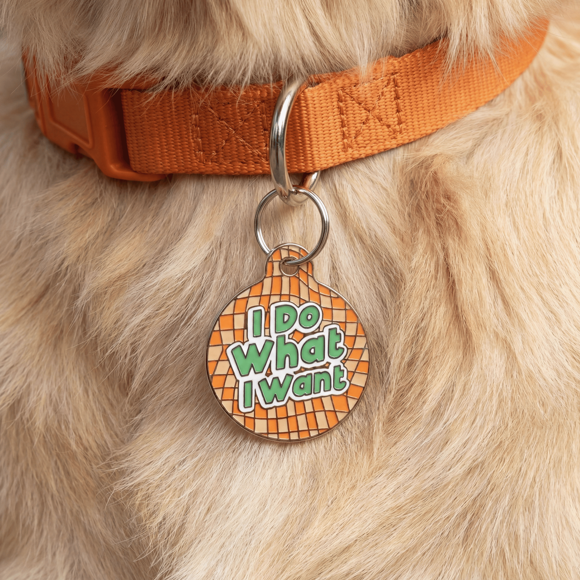 Bad Tags - I Do What I Want
