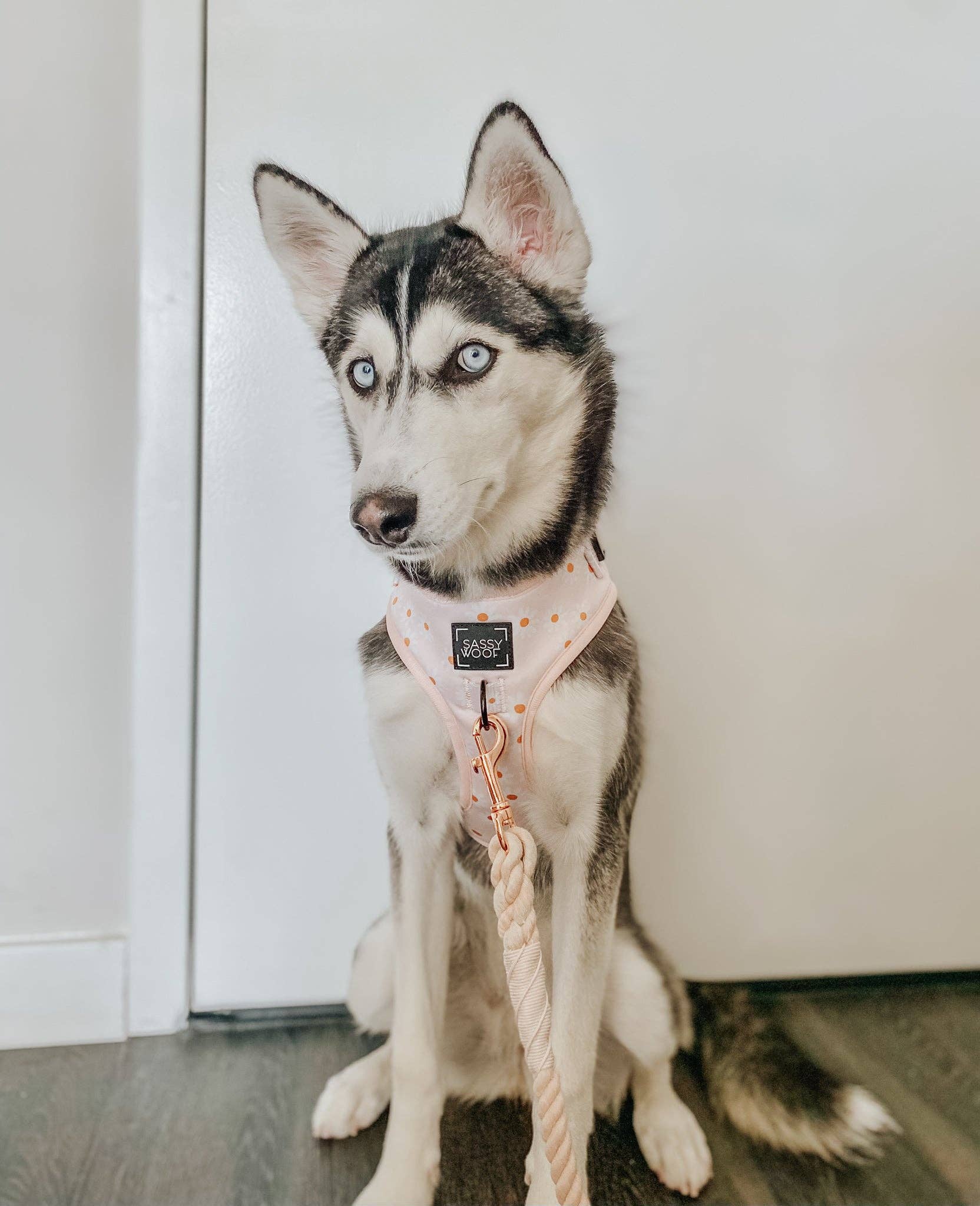 Sassy Woof Dog Rope Leash - Pearly
