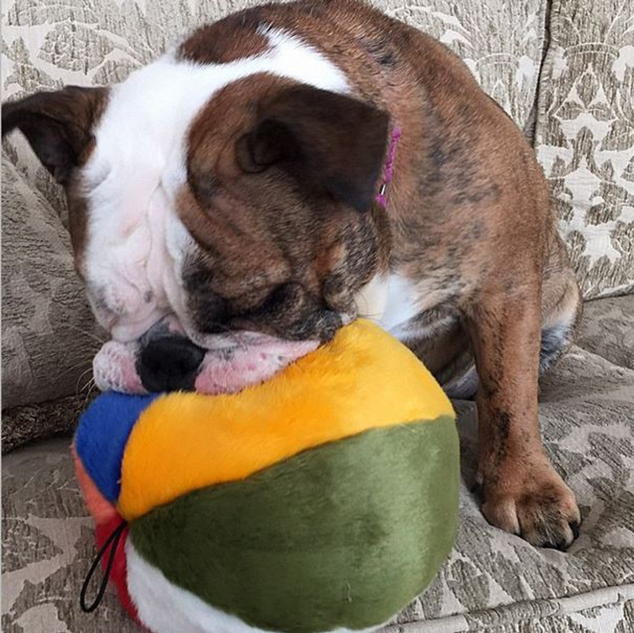 Fluff & Tuff Beach Ball