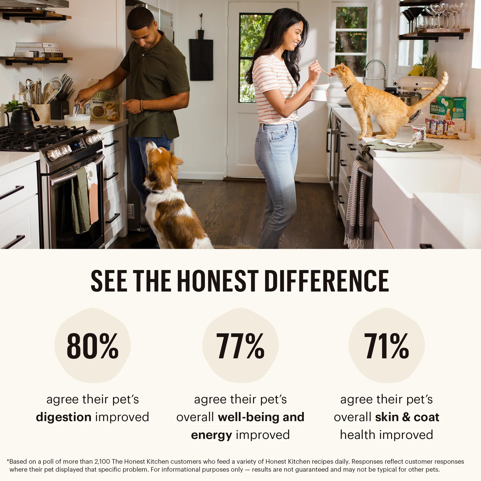 The Honest Kitchen Dog Whole Food Clusters Beef GF