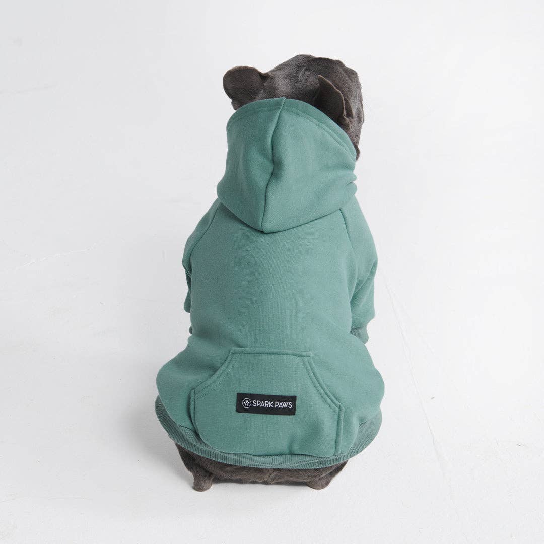 SparkPaws Essential Dog Hoodie - Teal