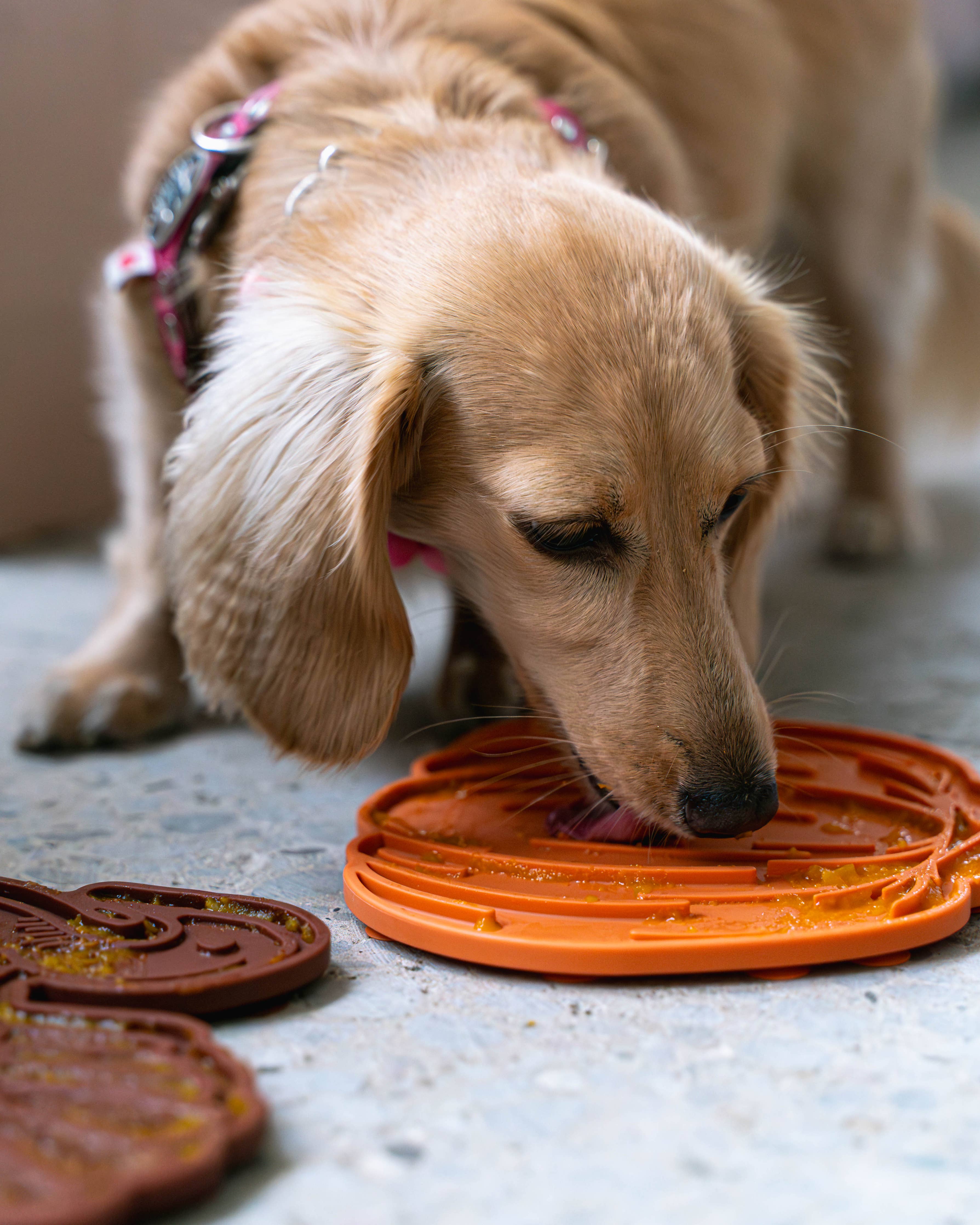 Pumpkin Lick Mat