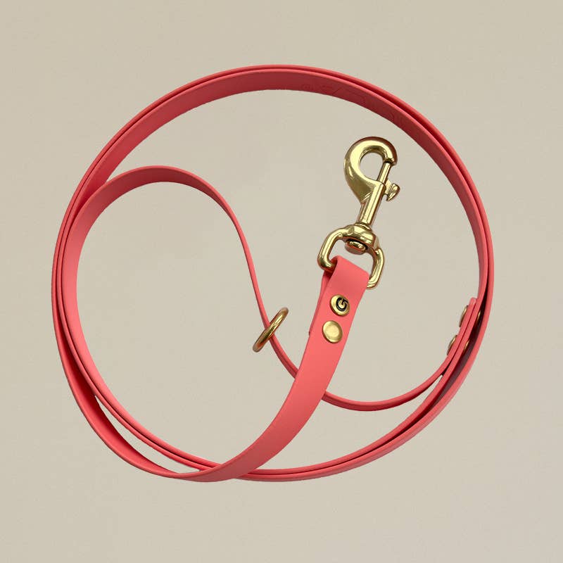 Gula Dog Care Biothane Dog Leash 125CM