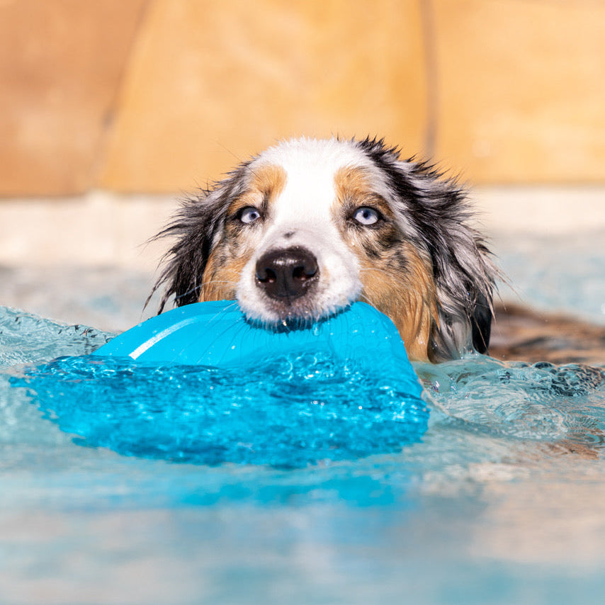 Project Hive Disc & Lick Mat Toy - Soothing Vanilla Scent