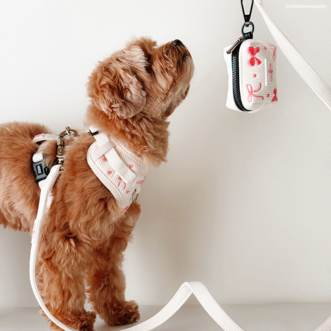 Lucy & Co. Ivory Corduroy Leash