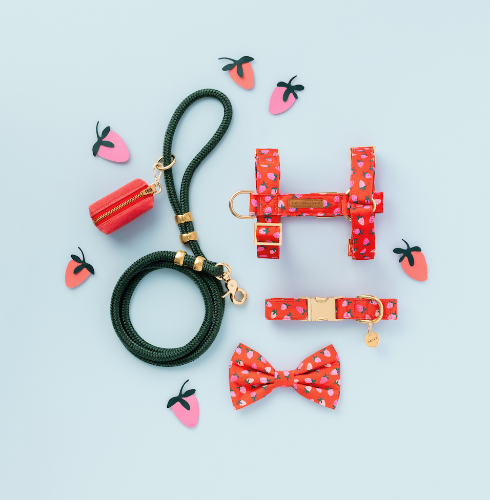 The Foggy Dog Berry Sweet Valentine's Day Dog Bow Tie