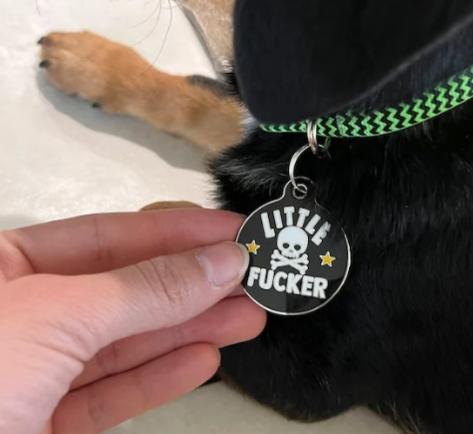 Bad Tags Little Fucker