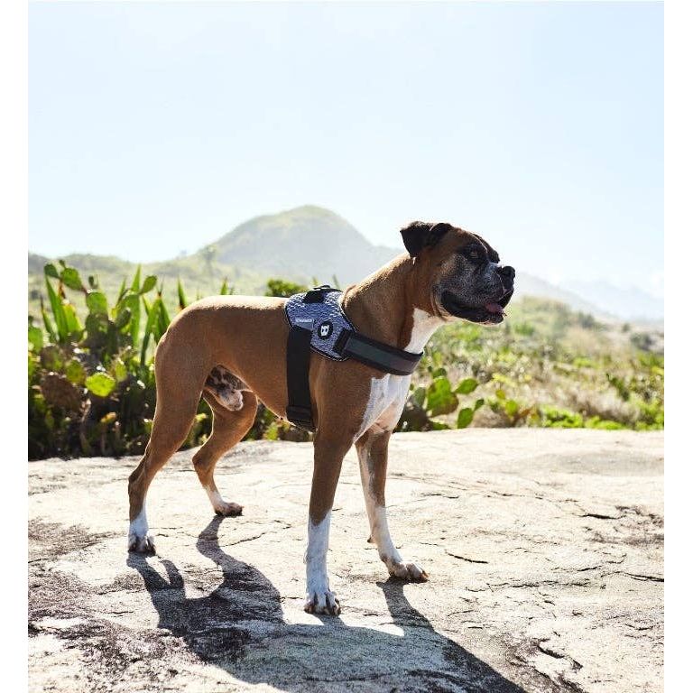 Zee.Dog FlyHarness - Urban