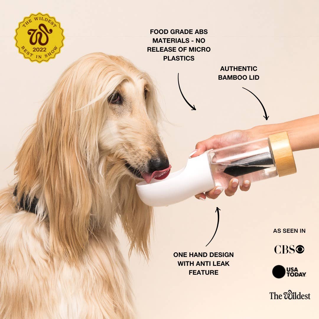 Merci Collective Urban Oasis Water Bottle